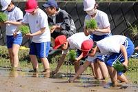 30田植え1