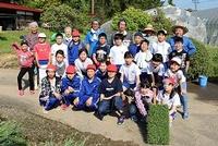 30田植え-6