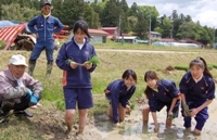 泥んこの感触を楽しみながら「すまっこ植え」に挑戦した女子生徒