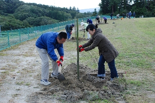 駒場スポーツ交流公園に桜、ヤマボウシなど約２００本が植えられました