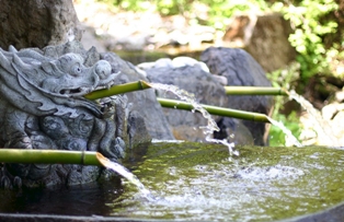 須川温泉と真湯ゲートのほぼ中間にわき出る「須川岳秘水ぶなの恵み」