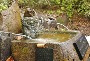 国道342号真湯ー須川高原温泉間の中間地点の道路脇からわき出している「須川岳秘水ぶなの恵み」。現在も変わらずに、森の恵みの水がこんこんとわき出ています（5月30日撮影）