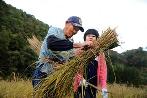 保存会の会員から刈った稲の束ね方を教わる学生