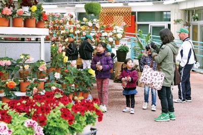 花泉・花と泉の公園「ベゴニア館」が業務再開