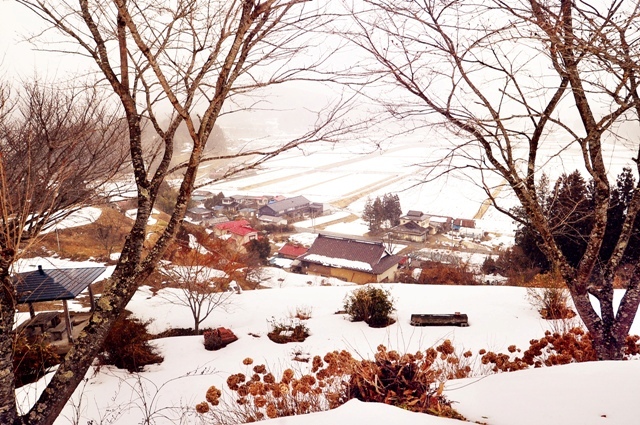 橘城跡公園から望む冬の田園風景（千厩）