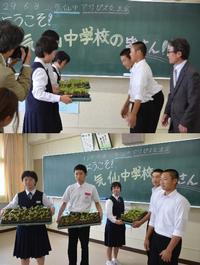 朝顔交流会
