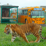 岩手サファリパーク