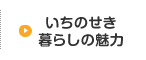 いちのせき暮らしの魅力