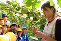 30ぶどう狩り-1