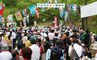 ひこばえの森を舞台に広葉樹の植樹活動などを行っている室根町第12区自治会