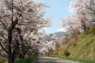 蟻塚公園（室根）