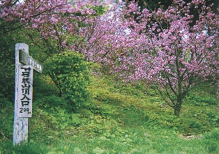 石蔵山(川崎)