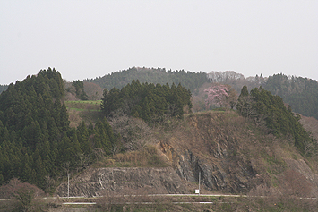 北上川と千厩川の合流点を見下ろす高台にある薄衣城跡。四面が険しい斜面に囲まれています。中世城郭の特徴をよく伝える城館跡