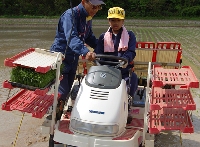 交代で田植え機の運転に挑戦した男子生徒