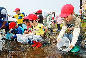 「大きくなってね」と呼びかけながら稚アユを放流する園児たち