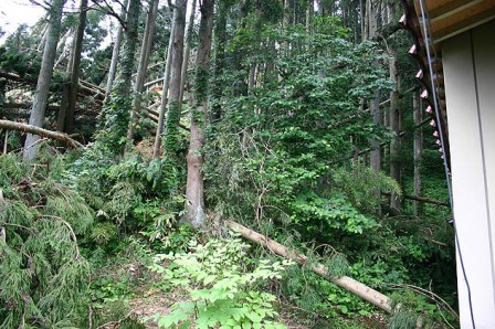 崩落した土砂が民家（写真右側）の軒下に迫っている