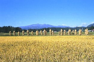 栗駒山を背に立ち並ぶほんにょ