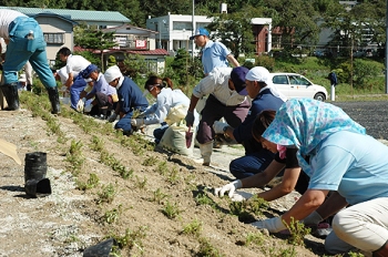 公園整備時にはのり面に住民と社員が一緒にシバザクラを植えました