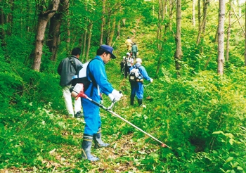 ツツジの名所大森山の登山道整備を行う上津谷川自治会