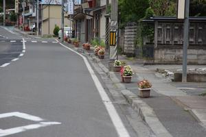 プランター部門　審査員特別賞