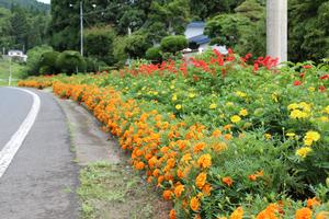 一般花壇部門　奨励賞