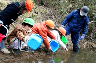 清流化を願って行われた千厩川へのサケ稚魚の放流