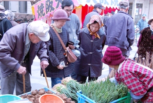 季節の野菜苗を見定める来場者