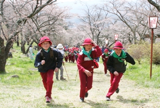 桜が彩る参道をわれ先にと山頂を目指す少年団員