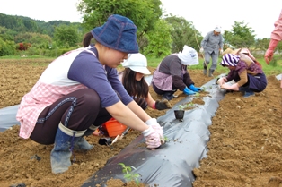 生活研究グループ会員から野菜作りを学んだ参加者