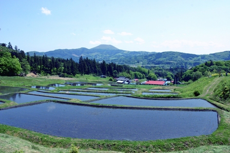 北限の棚田と称される「山吹棚田」（大東町大原地内）