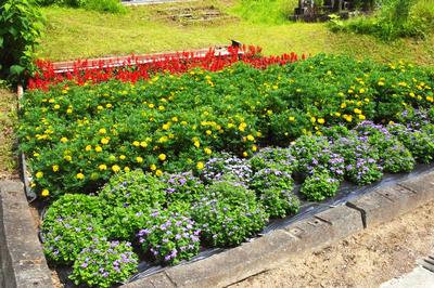 長倉花の会