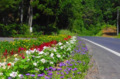 伊藤　ミヨ子さんの花壇