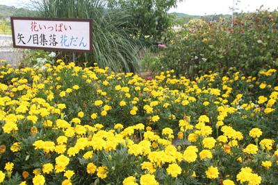 矢ノ目集落公民館