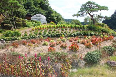 千葉　啓子さんの花壇