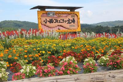 小西自治会