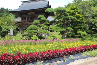 ひとこえ花壇