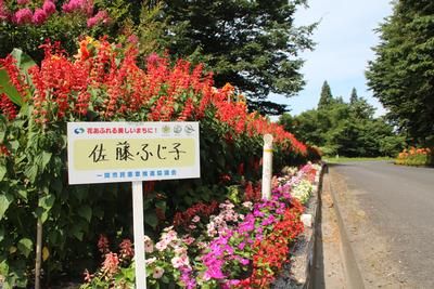 佐藤　ふじ子さんの花壇