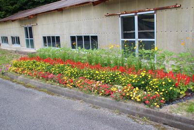 千葉　多喜さんの花壇