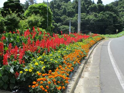峯山いきいきサロン