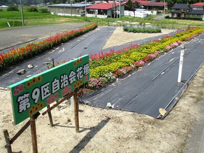 第9区自治会