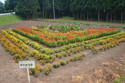 屋中自治会
