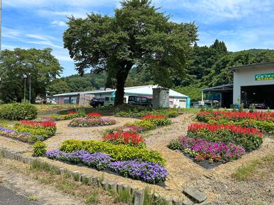 (有)グリーン総業