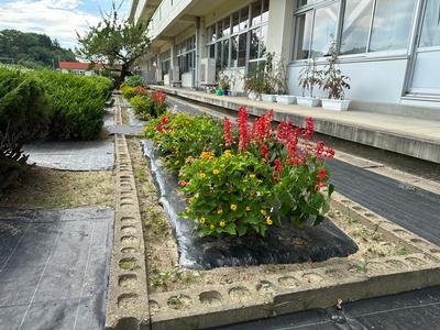 一関市立黄海小学校