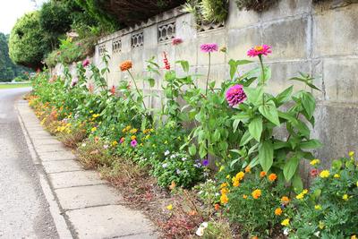 後藤　信子さんの花壇