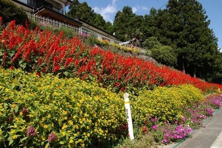 審査員特別賞　千葉せつ子さん（花泉）