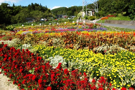 教育長賞　上中倉地域花壇（東山）