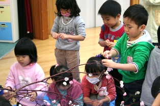 園児たちがミズキの枝にまゆ玉を飾り付けました
