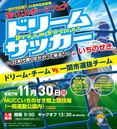 ドリーム・サッカーinいちのせき　チラシ