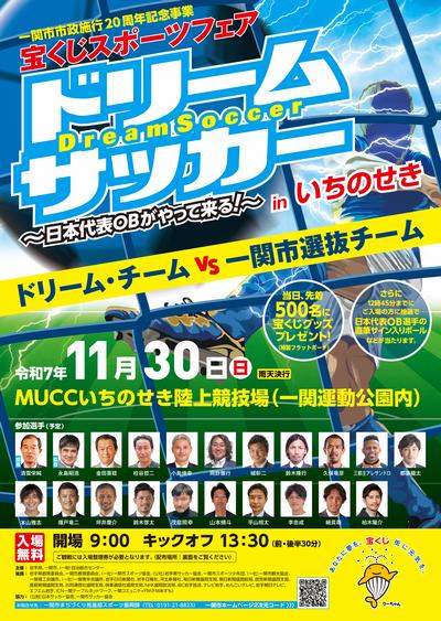 ドリーム・サッカーinいちのせきチラシ