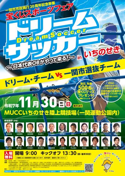 ドリーム・サッカーinいちのせきチラシ